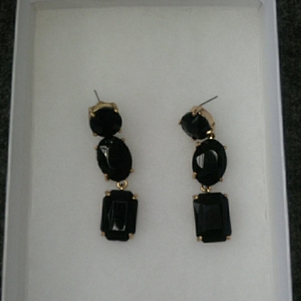 Beautiful Black Long Earrings